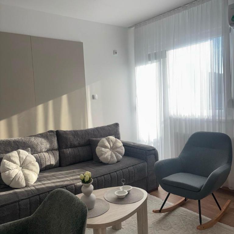 Apartman Tea Banja Koviljaca - Apartman sa 1 Spavaćom Sobom - 2