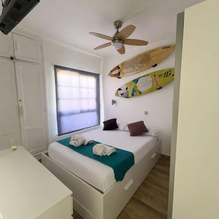 TROPICAL SUN AND palm - Casa con 1 dormitorio - 20