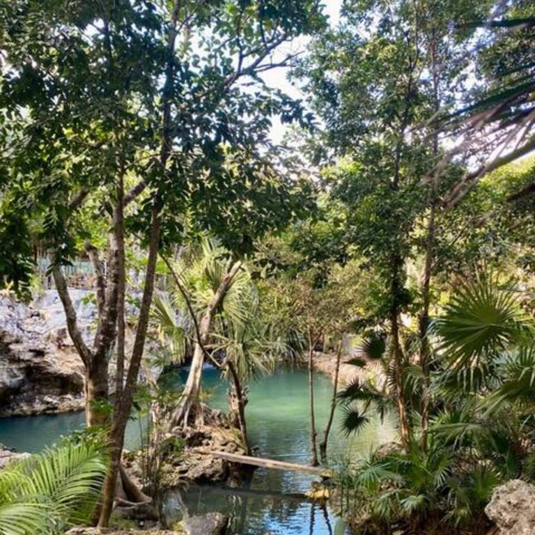 Family Home with Patio, Shared Pool & Cenote - Apartment - 54