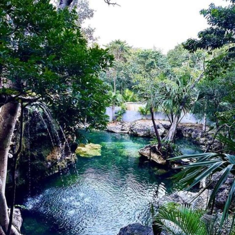 Family Home with Patio, Shared Pool & Cenote - Apartment - 55