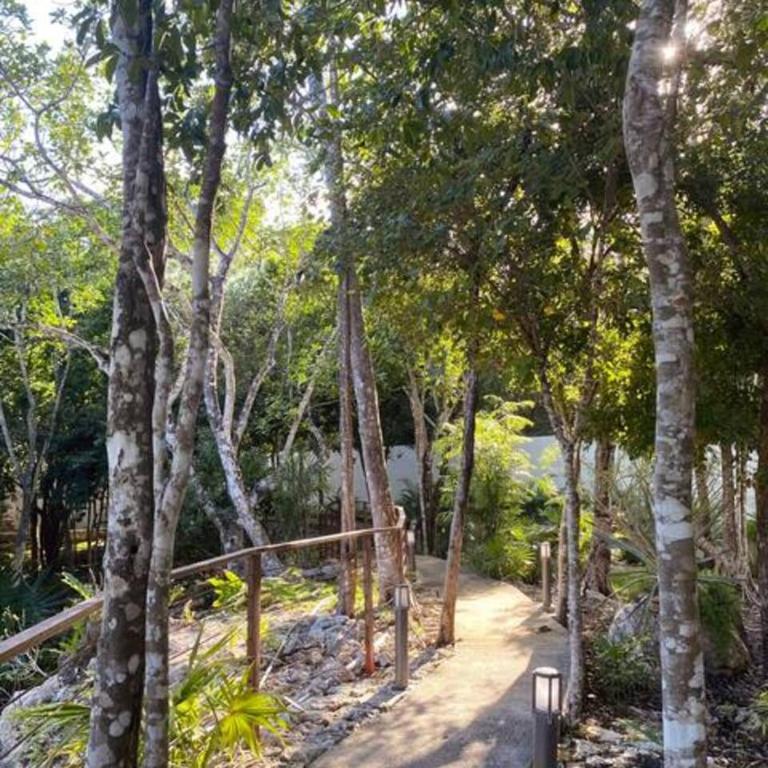 Family Home with Patio, Shared Pool & Cenote - Apartment - 57