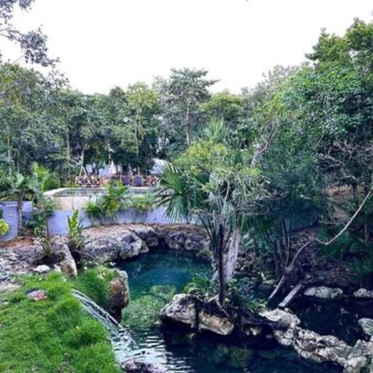 Family Home with Patio, Shared Pool & Cenote - Apartment - 58