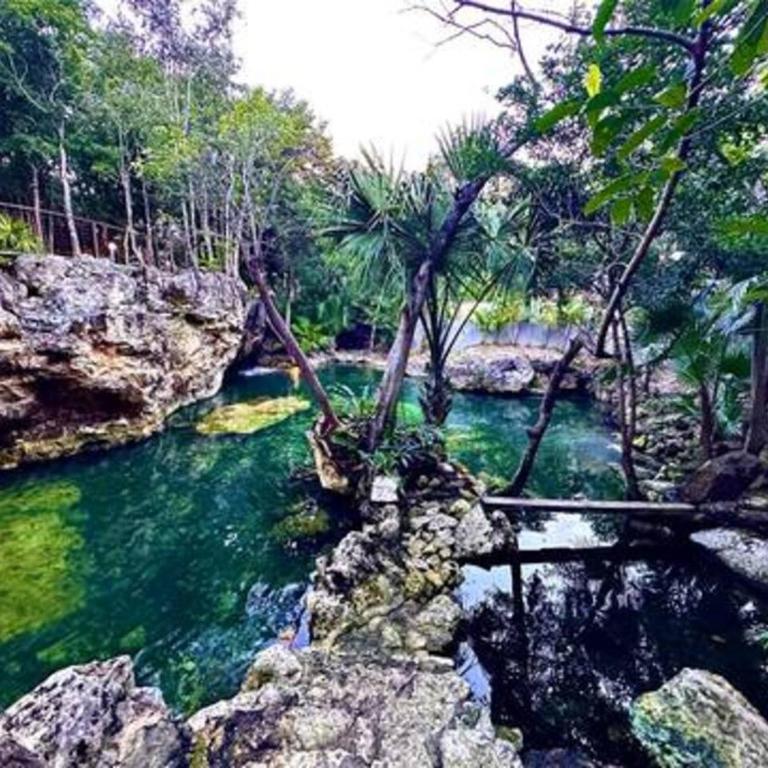 Family Home with Patio, Shared Pool & Cenote - Apartment - 59