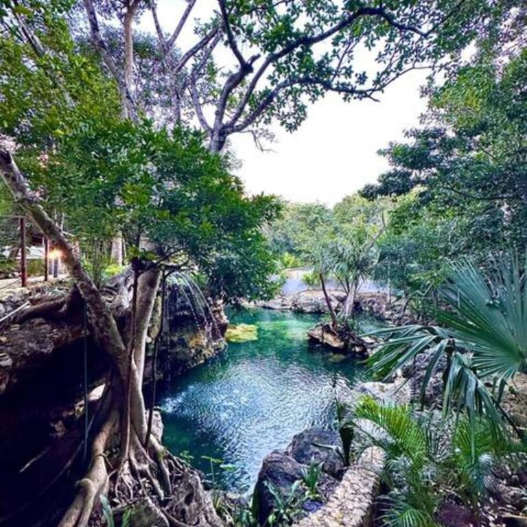 Family Home with Patio, Shared Pool & Cenote - Apartment - 62
