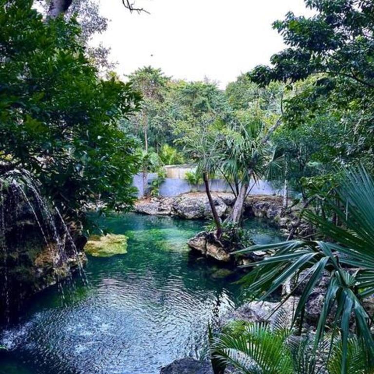 Family Home with Patio, Shared Pool & Cenote - Apartment - 64