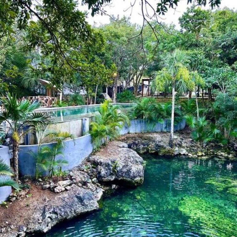 Family Home with Patio, Shared Pool & Cenote - Apartment - 66