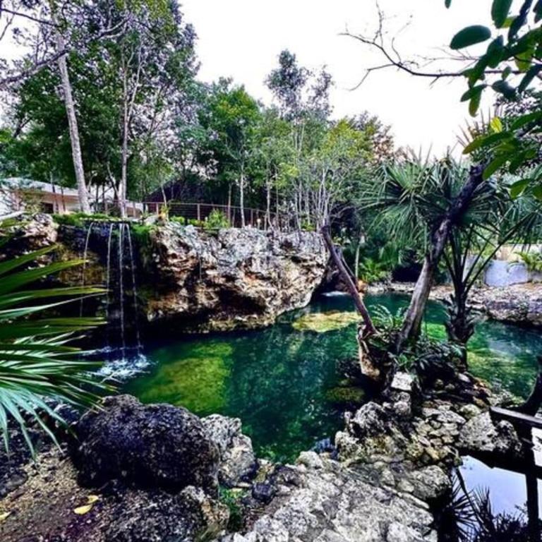 Family Home with Patio, Shared Pool & Cenote - Apartment - 70