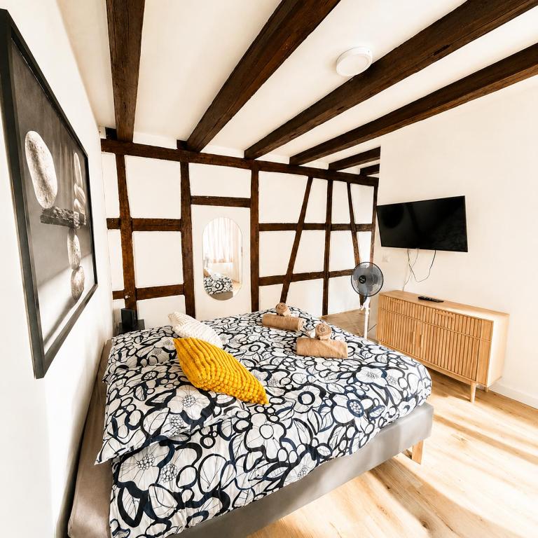 Appart cosy - Centre - Charme alsacien - Strasbnb - One-Bedroom Apartment - 1