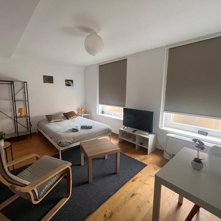Studio des halles, centre ville, tram 1 min - Apartment mit 1 Schlafzimmer - 6