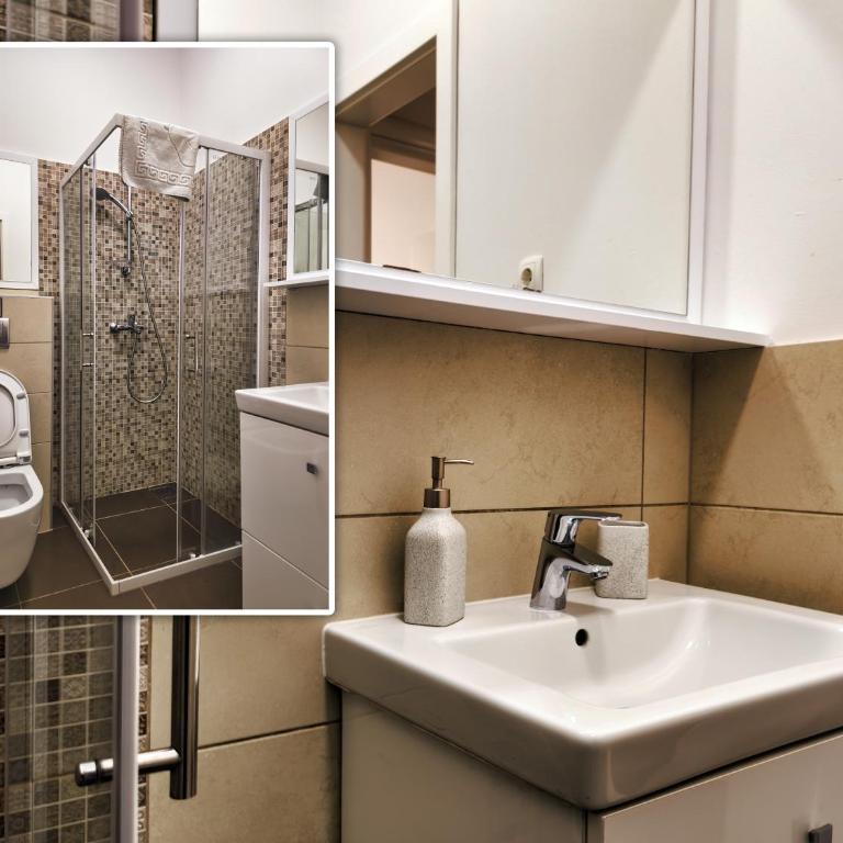 Central Inn Apartments Sarajevo - Apartman sa 1 Spavaćom Sobom - 11