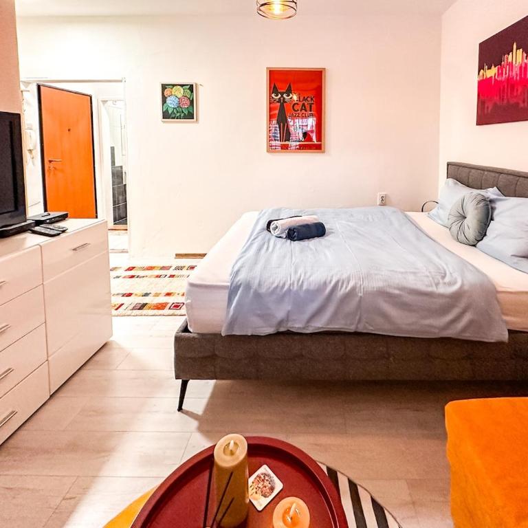 Cheyf in City Center - Apartman sa 1 Spavaćom Sobom - 10