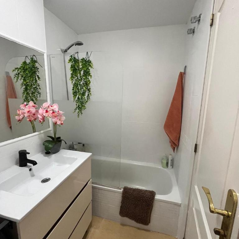 Ático Rumfox golf - Appartement 1 Chambre - 11