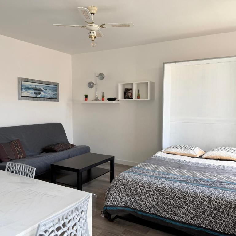 Le Petit Rochelais, Downtown, Air Conditioning - One-Bedroom Apartment - 3