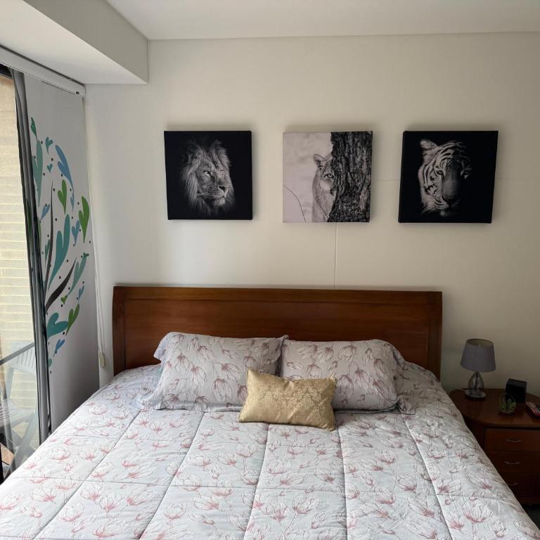Loft Cool Equilibrium - Apartamento de 1 dormitorio - 51