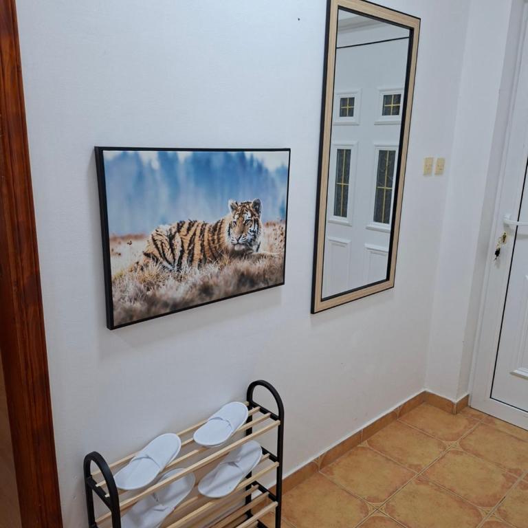 Apartment Sweet Home Vujović - Apartment - 14