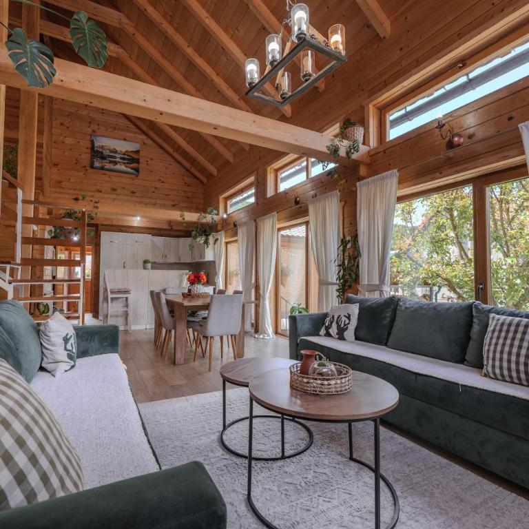 Monte Chalet Kolašin brvnara sa saunom - Vila sa Pogledom na Vrt - 4