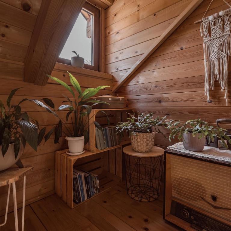 Monte Chalet Kolašin brvnara sa saunom - Vila sa Pogledom na Vrt - 37