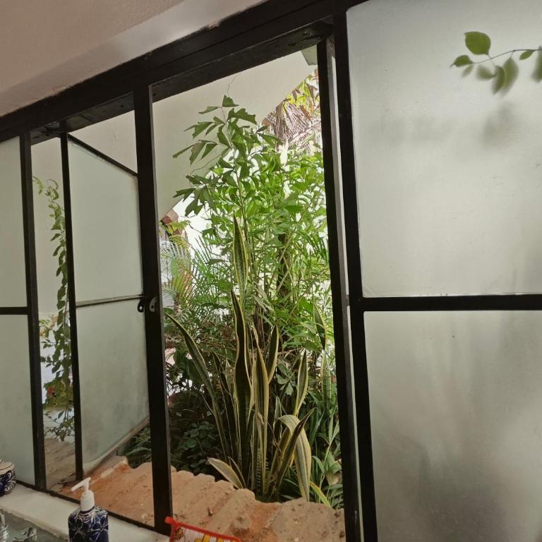 Casa Rey Sol Vallarta - Apartamento - Planta baja - 19