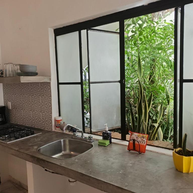 Casa Rey Sol Vallarta - Apartamento - Planta baja - 16