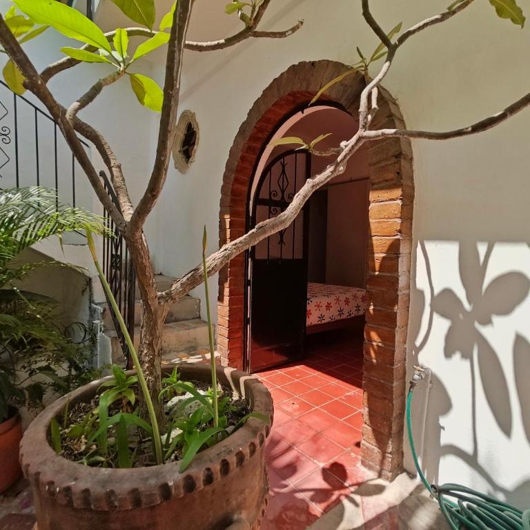 Casa Rey Sol Vallarta - Habitación Doble con baño privado - 12