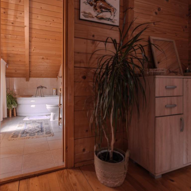 Monte Chalet Kolašin brvnara sa saunom - Vila sa Pogledom na Vrt - 59