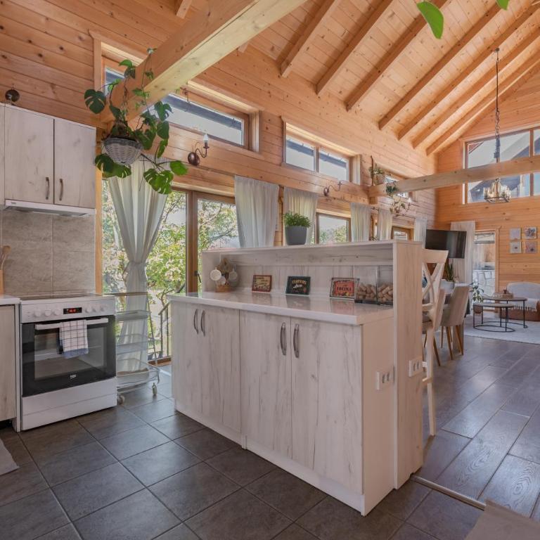 Monte Chalet Kolašin brvnara sa saunom - Vila sa Pogledom na Vrt - 32