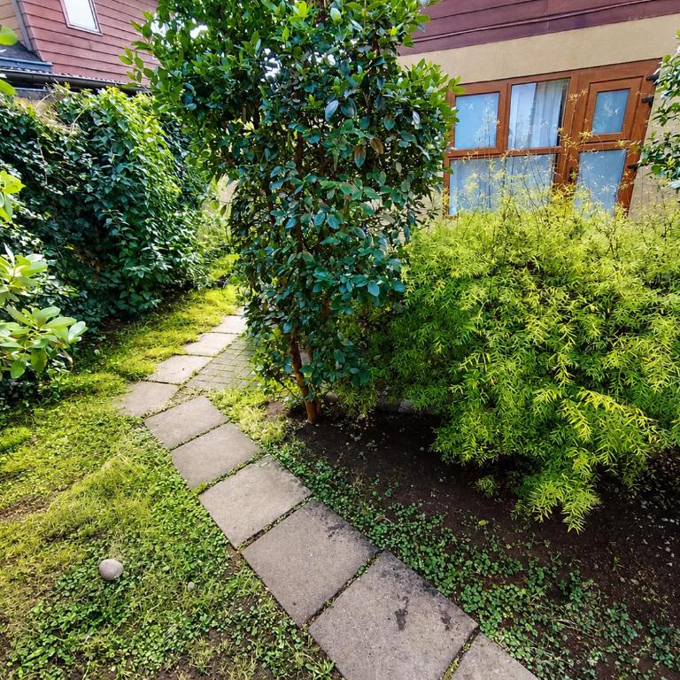 Borde lago I - II -III - Apartment with Garden View - 5