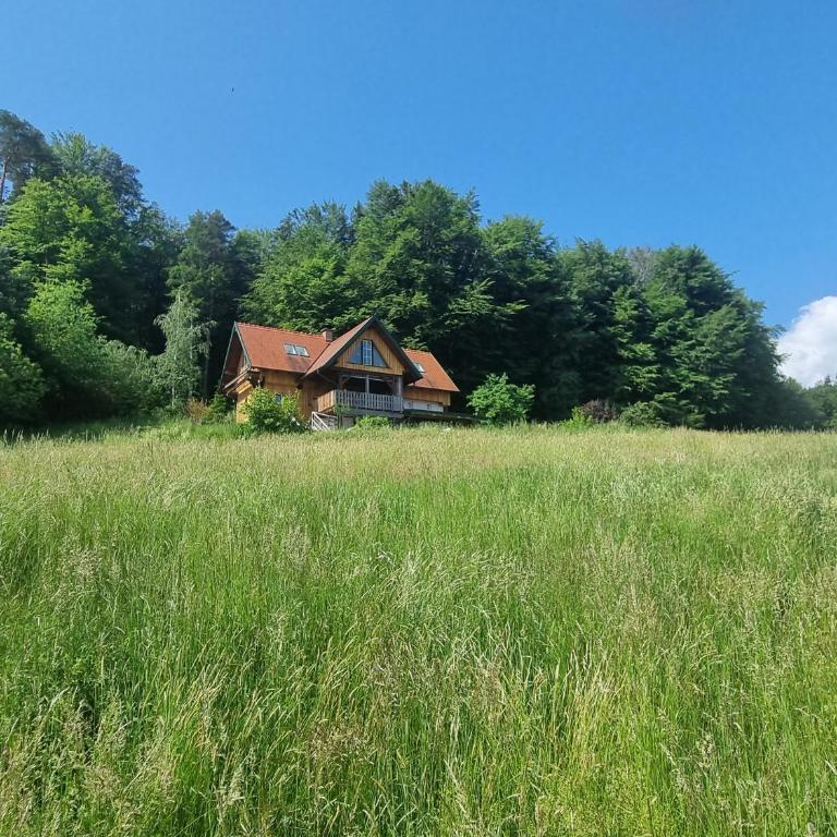 Kuscheliges Blockhaus in Alleinlage mit Traumaussicht - Haus mit 1 Schlafzimmer - 11