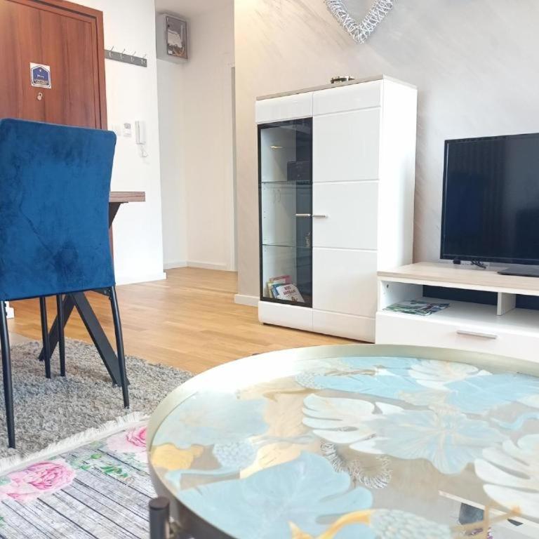 Green Hill Lux Apartments - kod Akva Parka - One-Bedroom Apartment - 11