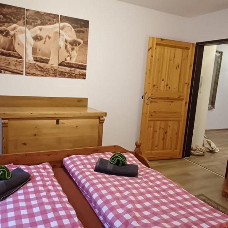FeWo Alpenfreude mit Hallenbad - Apartment with Balcony - 12
