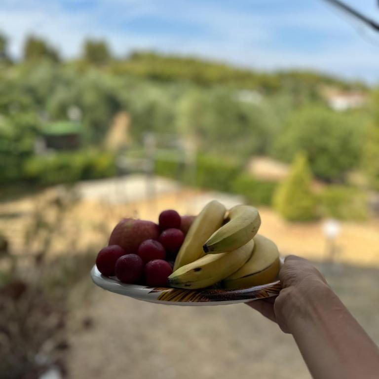 Villa Forte - Appartamento con 1 Camera da Letto - 7
