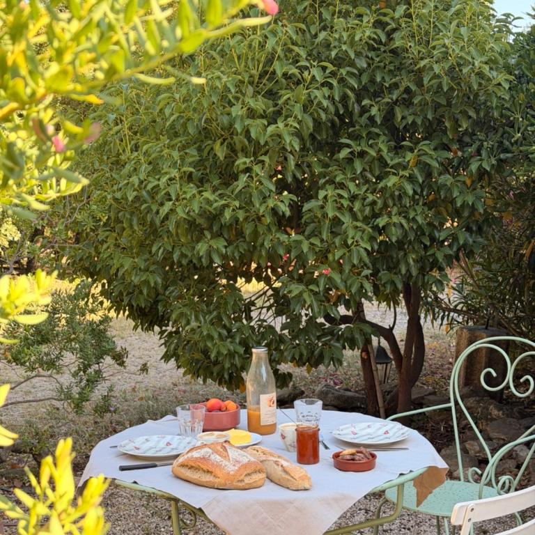 Mas Élunia, Gites et Chambres d'hôtes, entre Mer et Montagne - Appartement 1 Chambre - Vue sur Jardin - 9