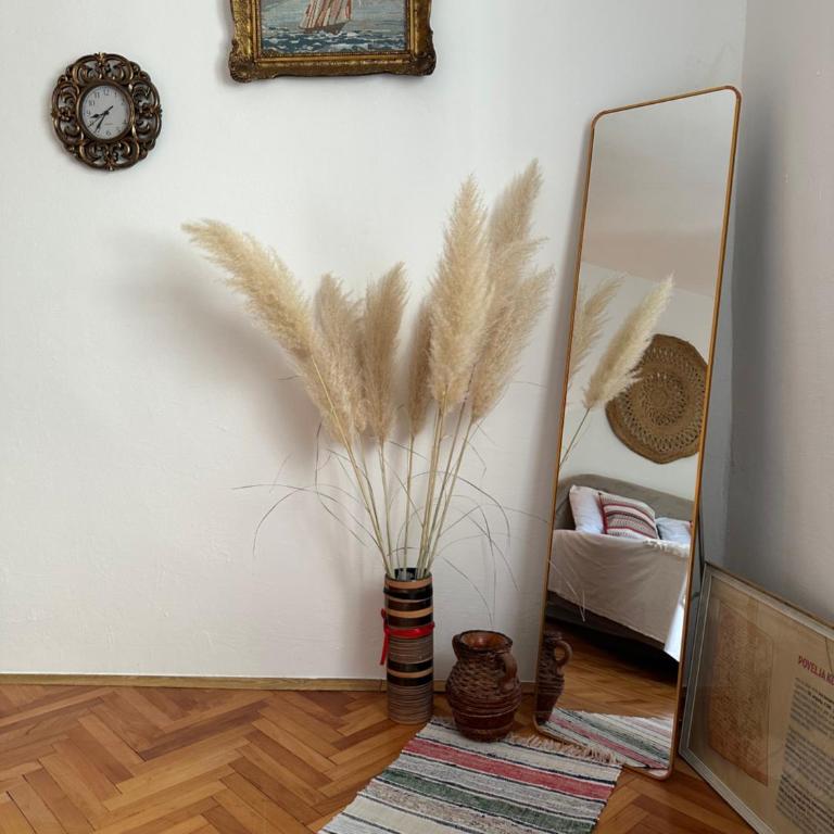 Tradicional Apartment - Apartman sa 1 Spavaćom Sobom - 46