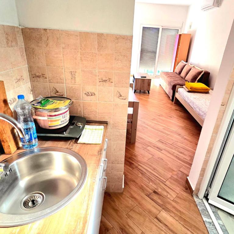Studio Apartman Susanj Bar - One-Bedroom Apartment - 6