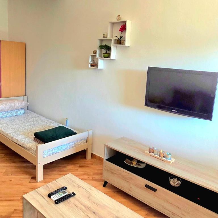 Studio Apartman Susanj Bar - One-Bedroom Apartment - 5