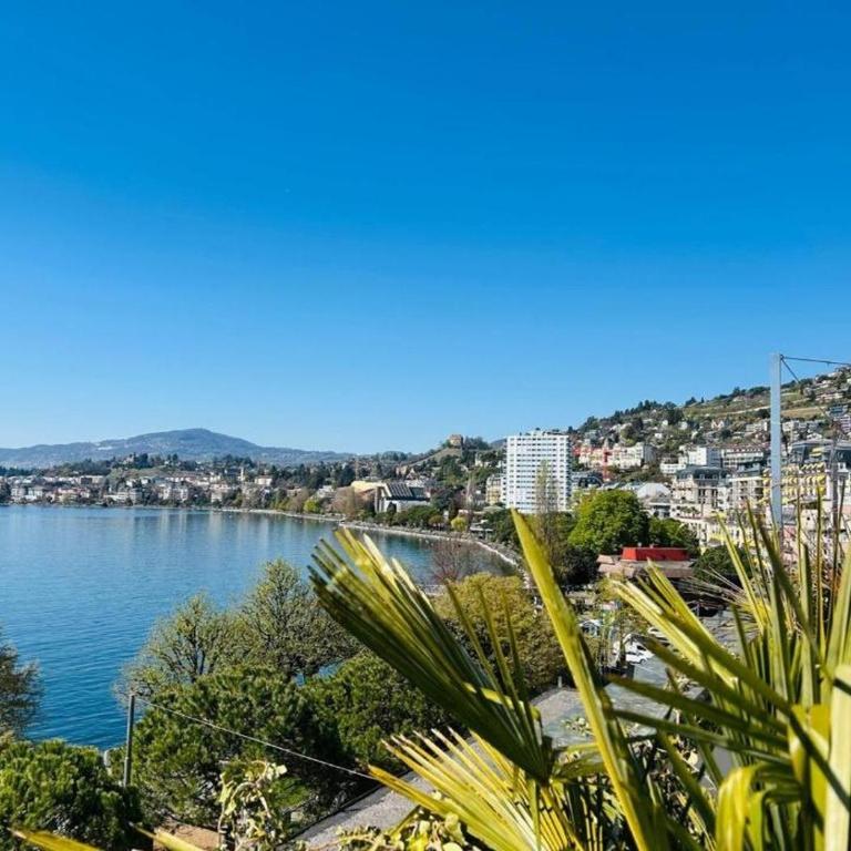 Evasion Lakefront in Montreux - Penthouse-Apartment - 5