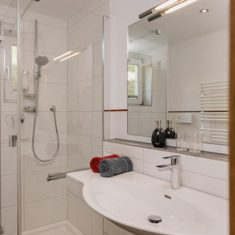 Appartement Désirée inkl der SUPER SOMMER CARD im SOMMER 2026 - Appartamento con 2 Camere da Letto, Balcone e Terrazza - 4