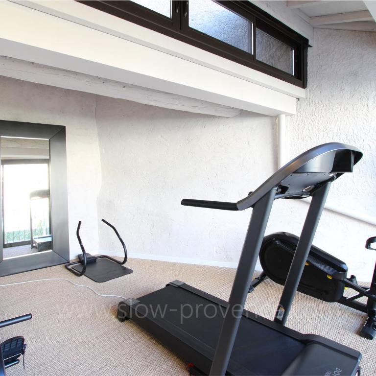 La pépite du Ventoux, petite piscine et salle de sport ! - Maison de Vacances - 16