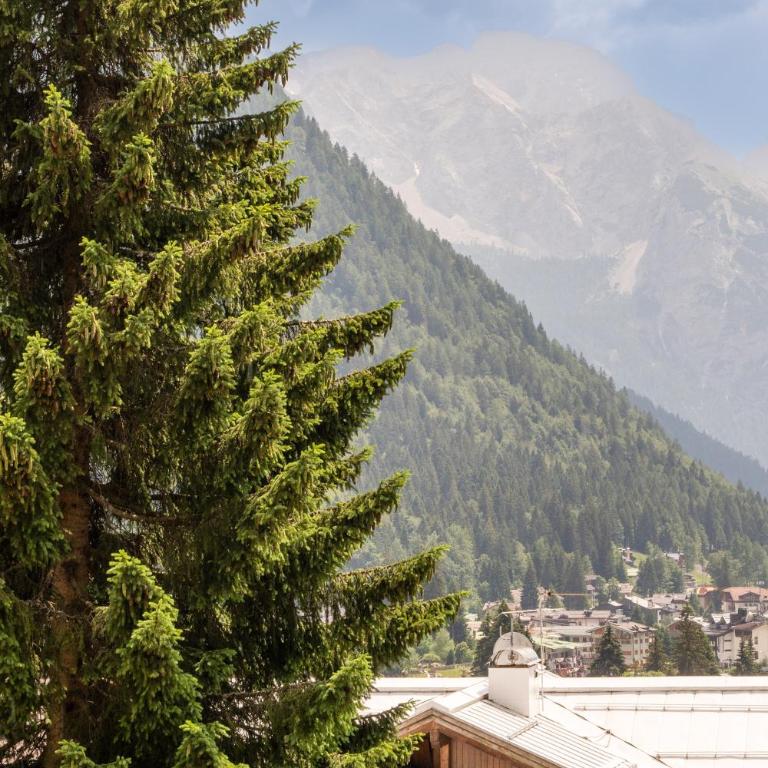 Comfort in the heart of Campligio - Two-Bedroom Apartment - 43