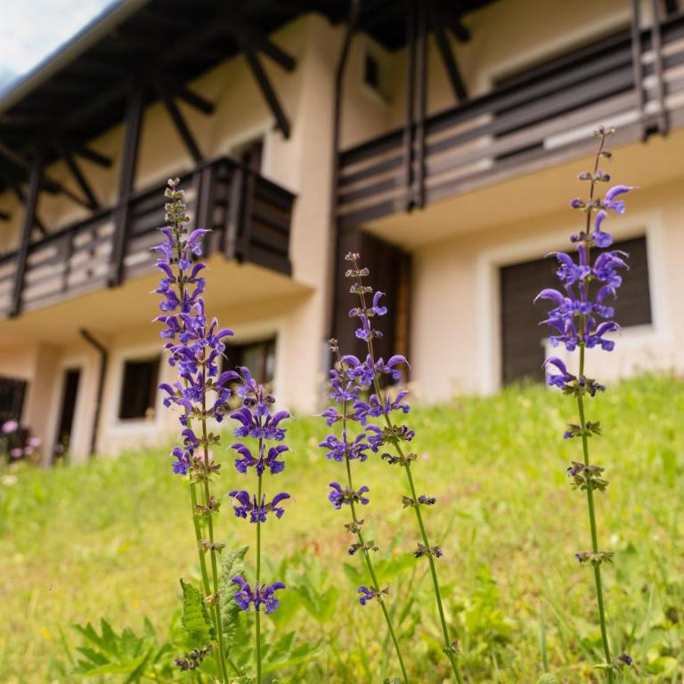 Comfort in the heart of Campligio - Two-Bedroom Apartment - 42