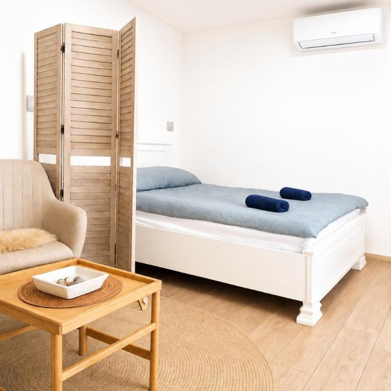 Ticina apartment - Deluks Studio - 4