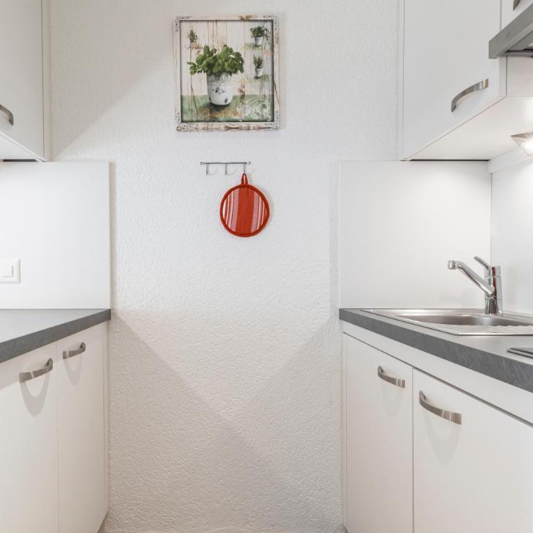 Atlantis Apartments by MEIN SAMNAUN - MOUNTAIN HOMES - Studio-Apartment - 2