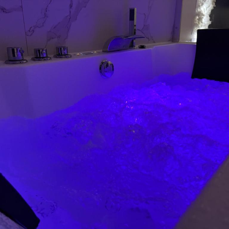 Cocon romantique Jacuzzi privatif et Netflix Lyon - Apartment mit 1 Schlafzimmer - 5