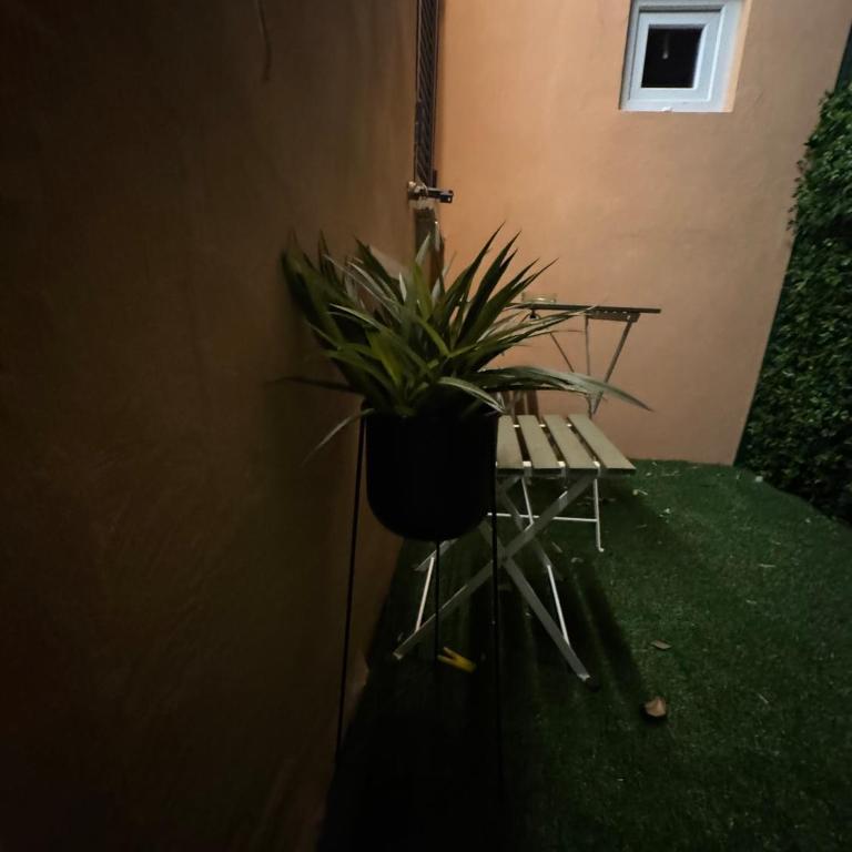 Pantheon Apartment, vicino a Fontana di Trevi - Appartamento con 1 Camera da Letto - 54