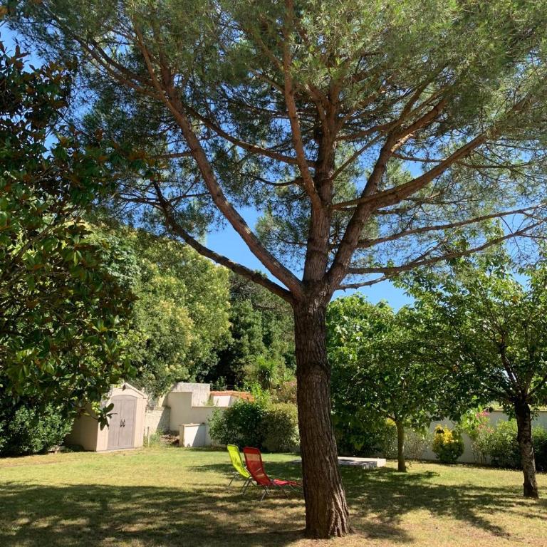 Beautiful 4 room apartment in La Rochelle - Apartment - 12