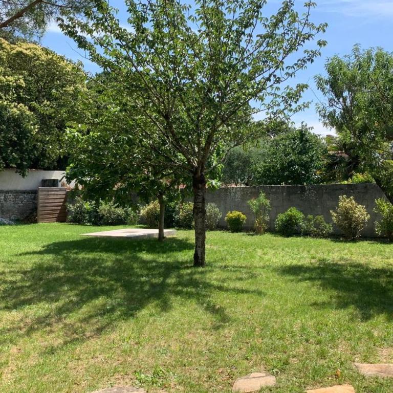Beautiful 4 room apartment in La Rochelle - Apartment - 13