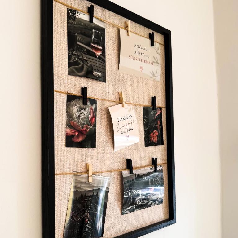 Apartments nahe der Südsteirischen Weinstraße - Studio - 4