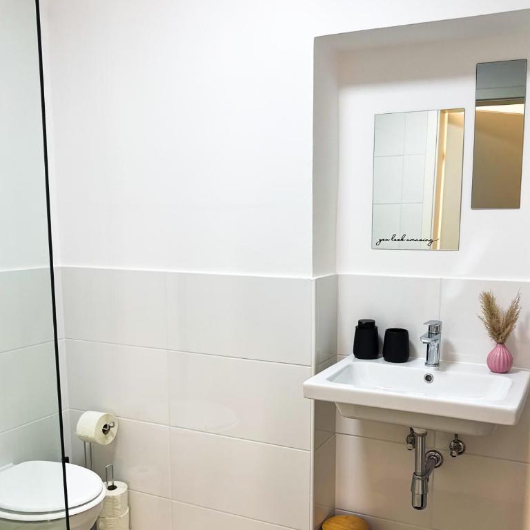 Apartments nahe der Südsteirischen Weinstraße - Studio - 6