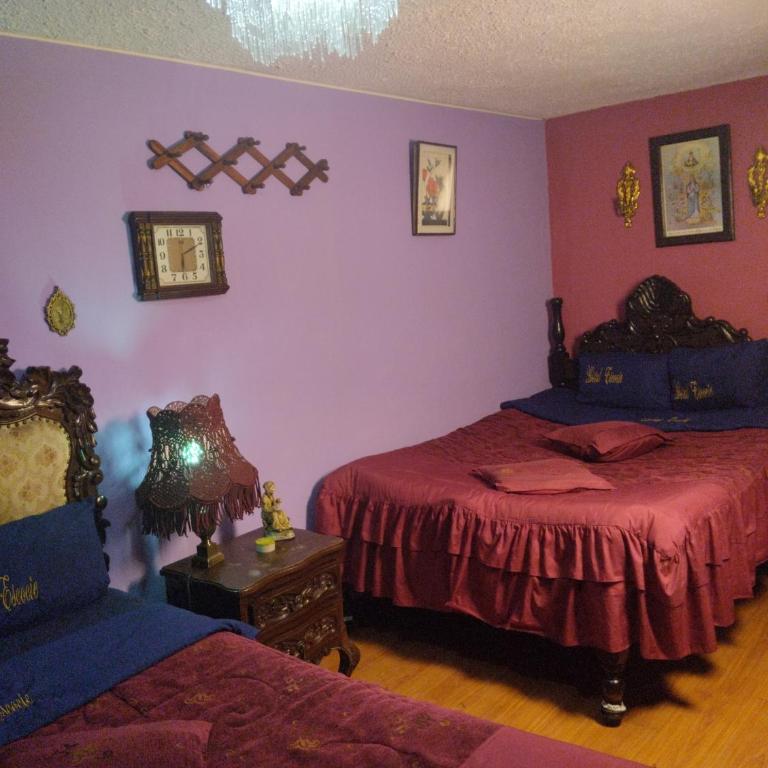 ESCOCIE-VA 1 - Litera en habitación compartida mixta - 20
