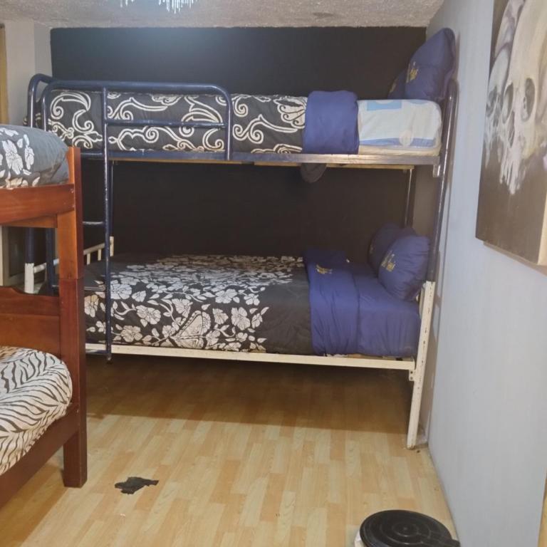 ESCOCIE-VA 1 - Litera en habitación compartida mixta - 7